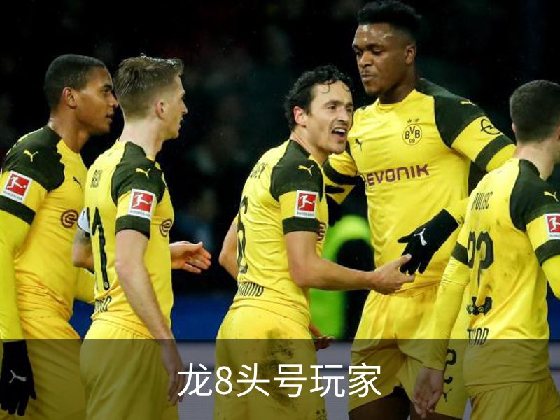 走进龙8头号玩家